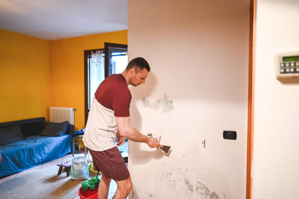 Best Crawl Space Mold Removal  in Verde Village, AZ